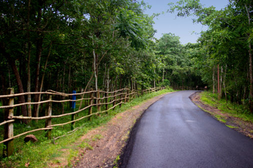 Papikondalu Tour